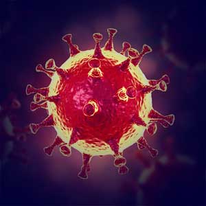 coronavirus