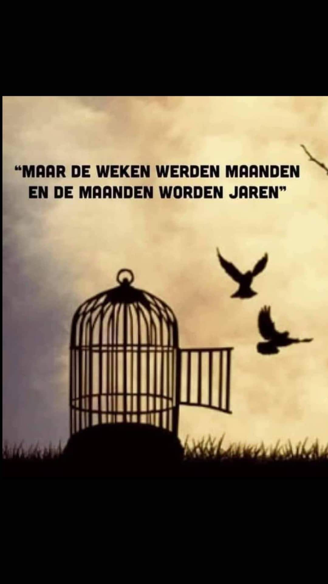 DE RACE TEGEN DE AVONDKLOK………tiktak tiktak…..