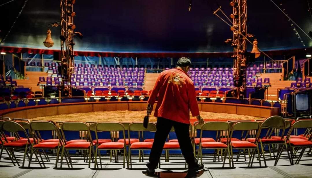 HET DROEVIGE CIRCUS