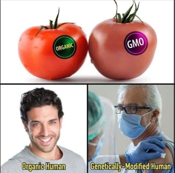 gmo mens na rmna vaccin