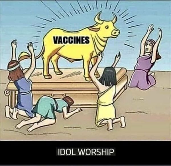 vaccin als het gouden kalf